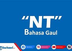 B Lot Adalah Bahasa Gaul Bet